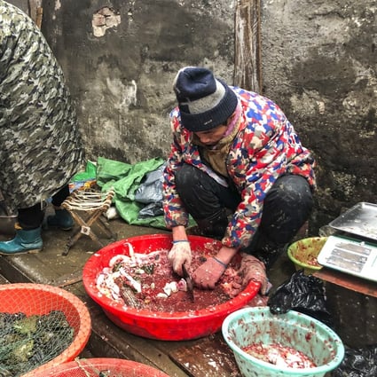 One element of the inquiry will focus on animals sold in Wuhan’s markets. Photo: Simon Song