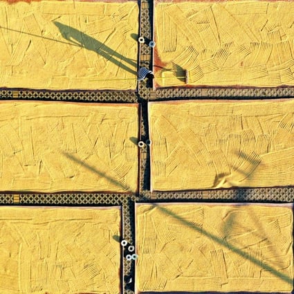 China remains a net exporter of rice, meaning it exports more than it imports. Photo: Xinhua