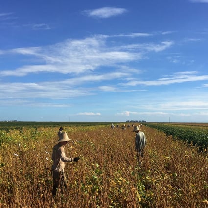 Workers are seen at a soy plantation in a farm in Sao Desiderio, Bahia state, Brazil on March 21, 2018. Photo: Reuters