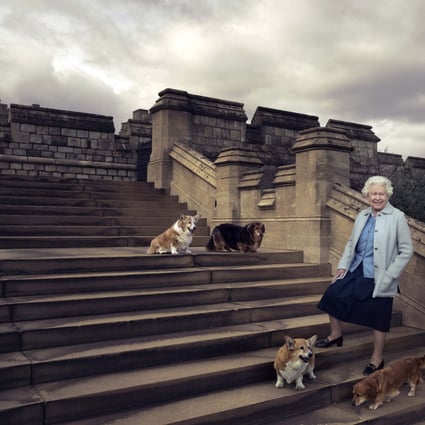 In this official photograph released by Buckingham Palace in 2016 to mark her 90th birthday, Queen Elizabeth is seen in the grounds of Windsor Castle with four of her dogs. Photo: AP