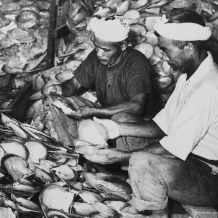 Workers grade and sort mother-of-pearl shells at Broome, Western Australia, in 1953. The town, long a centre of the pearling industry, drew migrants from Japan and Southeast Asia, who several times came into conflict. Photo: Frank Hurley for National Library of Australia