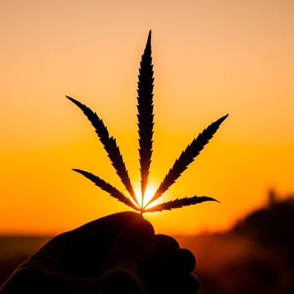 The issue of cannabis legalisation around the world was once again thrust into the spotlight this month. Photo: Getty Images