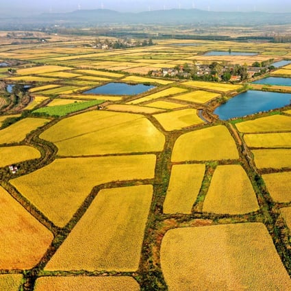 The farmland upgrade is intended to prioritise grain-producing areas. Photo: VCG via Getty Images