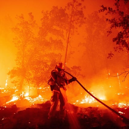 A firefighter douses flames as they push towards homes during the Creek fire in the Cascadel Woods area of California on September 7. Climate change has contributed to the death and dryness of trees that fuel the spread of wildfires. Photo: AFP