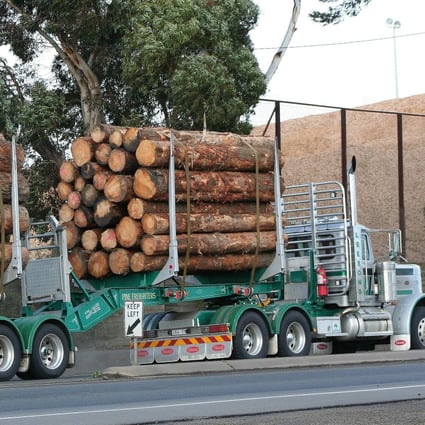 China had already banned timber from Queensland, Victoria, South Australia and Tasmania since late October. Photo: Shutterstock