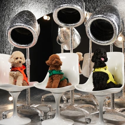 Keep your pups warm this winter with Moncler x Poldo Dog Couture collection. Photo: Moncler