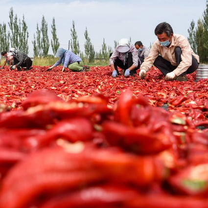 Boosting rural incomes and improving efficiency in the agricultural sector will be priorities for China next year. Photo: Xinhua