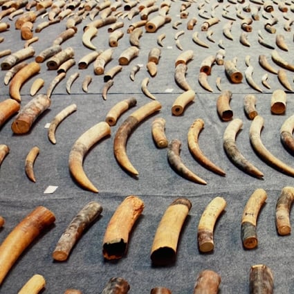 A Chinese court jailed 17 people for their roles in what has been described as the country’s biggest ivory smuggling operation. Photo: Weibo
