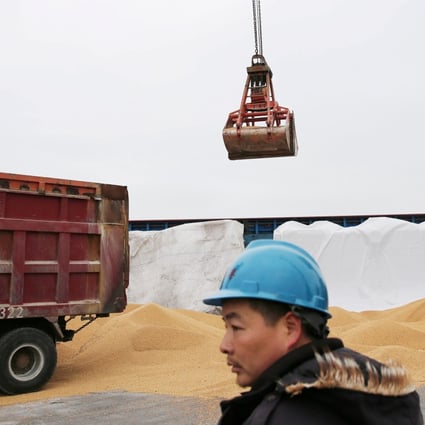 China’s new agricultural minister says the nation will strive to keep its soybean acreage above 9.33 million hectares (23 million acres) to secure greater self-sufficiency in edible soybeans. Photo: Reuters