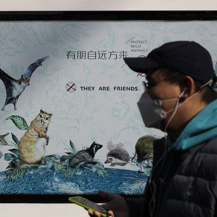 A man wearing a protective face mask walks by a poster promoting wildlife protection in Beijing on March 11 last year, after the authorities began to crack down on the sale of wild animals in wet markets. Photo: AP