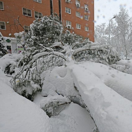 A fallen tree lies on top of parked cars in the aftermath of a heavy snowfall in Madrid, Spain on Saturday. Photo: EPA-EFE