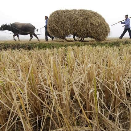 More than 600 million Chinese live in rural areas. Photo: Reuters