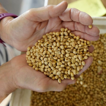 There was a 52.8 per cent year-on-year increase in Chinese imports of soybeans from the US last year, as China’s hog herd recovered and its pigs needed more food. Photo: Reuters
