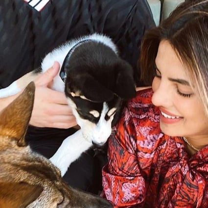 Tom Holland, Nick Jonas and Priyanka Chopra, and Kendall Jenner with their pets. Photos: Bang Showbiz, @nickjonas; @kendaljenner/Instagram