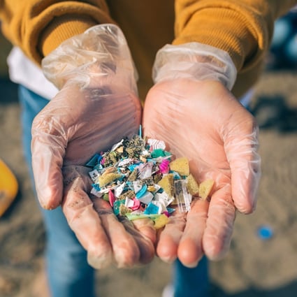 Plastic bottles, bags, wrapping and packaging wash up daily on our beaches. Over time, these plastics disintegrate and can enter our ecosystem. Photo: Shutterstock