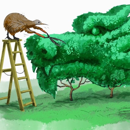 Illustration: Craig Stephens