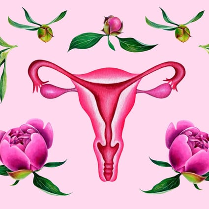 An illustration of the female reproductive system. The vagina is a mystery to many – including to some people who actually have one. Photo: Shutterstock