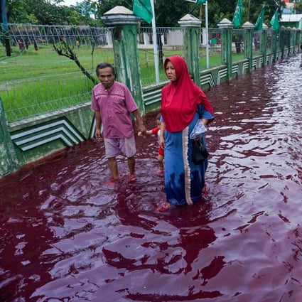 Residents wade through floodwaters dyed red from the waste of a batik factory in Pekalongan, central Java. Photo: AFP