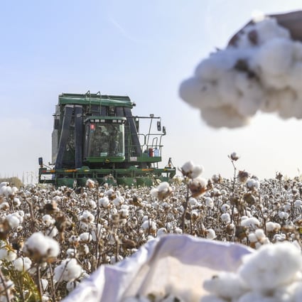 Serai, an HSBC unit, has launched a solution to help buyers and suppliers prove the origin of cotton and other materials amid intensified scrutiny by the US. Photo: Xinhua