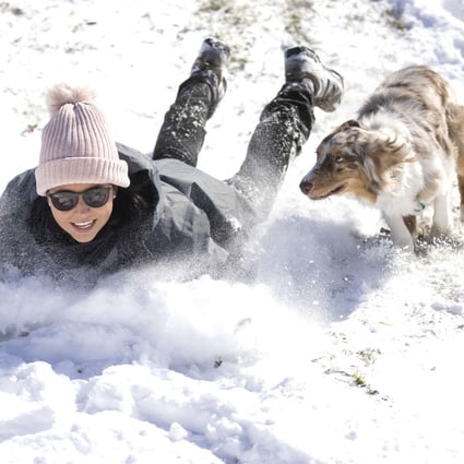 Megan Pennartz and her dog Jensen go sledding after a snowstorm in Fort Worth, Texas. Photo: AP