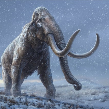 An artist's reconstruction shows the extinct steppe mammoth, an evolutionary predecessor to the woolly mammoth that flourished during the last Ice Age. Photo: Reuters