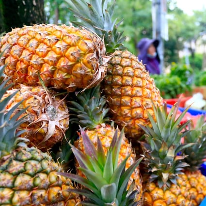 Chinese customs cited a technicality in banning Taiwanese pineapples: bugs were spotted in imports of the tropical fruit. Photo: Getty Images
