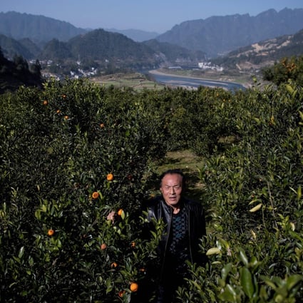 China’s education, entertainment as well as agriculture and fisheries sectors were hit the hardest, with closure rates of 33 per cent, 31.7 per cent and 27.6 per cent, respectively. Photo: AFP