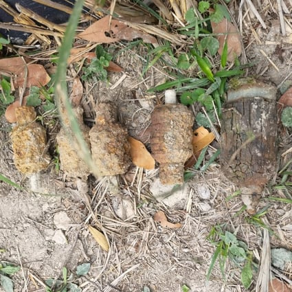 The explosives were found by a 28-year-old military enthusiast on a slope close to the Wilson Trail in the Tai Tam Country Park near Stanley. Photo: SCMP