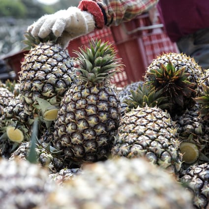 A farmer loads pineapples onto a truck at a plantation in Nantou County, Taiwan. Photo: Bloomberg