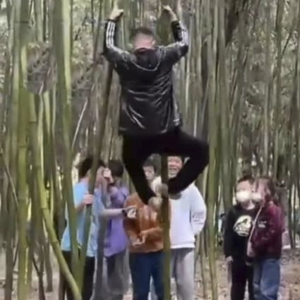 Tourists climbing on bamboo at the sacred Shaolin Temple site in Henan, central China. Photo: Handout