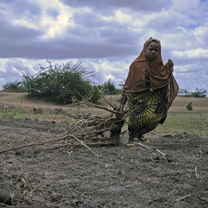 A Somali girl drags bundles of firewood for use as fuel for cooking near Jowhar town, north of the capital Mogadishu, in October, 2015. Clean tech can help reduce the drudgery that disproportionately burdens women, such as collecting water or fuel. Photo: AFP