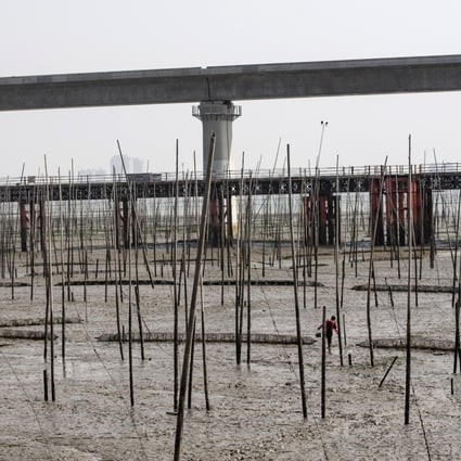 A cockle farmer trudges through a muddy field near the Meizhou Bay bridge, which is under construction as part of the Fuzhou-Xiamen high-speed railway project, in Putain, Fujian province, China, on February 8. Local governments have poured funds raised by the floating of bonds into infrastructure projects. Photo: Bloomberg