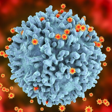 HIV and Aids have been around for 40 years, and still we have no effective vaccine. Above: HIV viruses have infected a human T-cell causing it to make more HIV viruses. Illustration: Getty Images