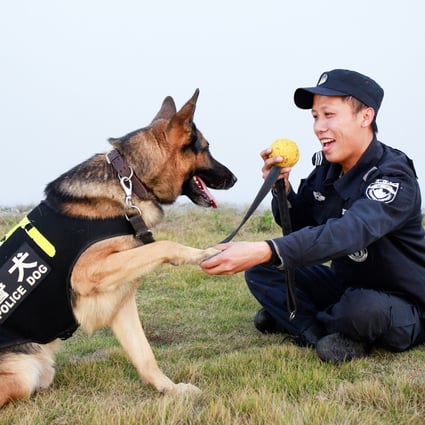 A police dog trainer with a trainee in Zhoushan City, Zhejiang Province, China. Photo: Getty