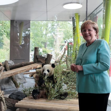 Angela Merkel, pictured with Xi Jinping at a panda enclosure in Berlin Zoo, has been a leading proponent of engagement with China. Photo: AFP