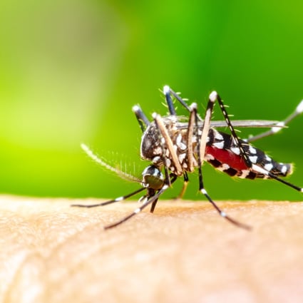 China Can Be Rightly Proud Of Its Efforts To Eradicate Malaria South China Morning Post