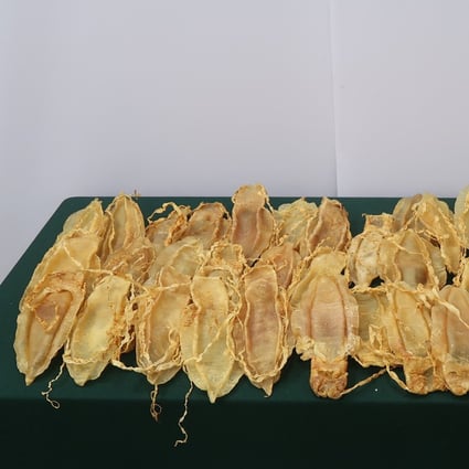 The dried bladders were taken from 39 totoaba, considered to be among the most endangered species on the planet. Photo: Handout