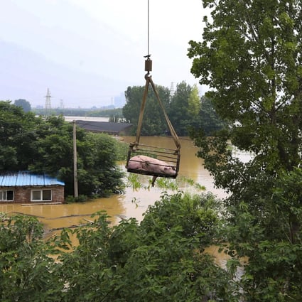 Last month’s flooding around China’s central Henan province has swept away the crops and animals of some farmers while others are seeking donations of disinfectants to stop the spread of animal disease. Photo: Simon Song