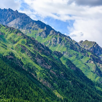 China announced it would set up a national park system in 2013. Photo: Shutterstock