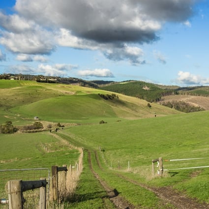 Chinese investors had the largest foreign holding of Australian farmland as of June last year and accounted for 2.4 per cent or 9.2 million hectares. Photo: Shutterstock Images