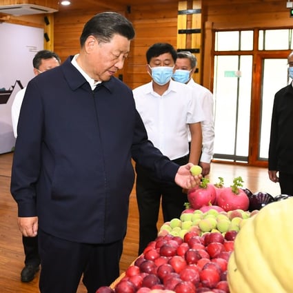 President Xi Jinping’s rhetoric on common prosperity has surged this year – evidence of the Communist Party’s commitment to closing the country’s yawning wealth gap. Photo: Xinhua