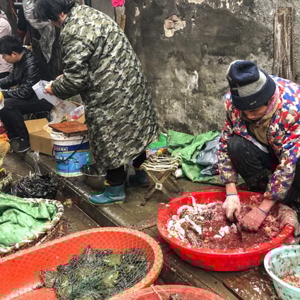 What can stop people eating wild animals? A new study looks for answers | South China Morning Post What can stop people eating wild animals? A new study looks for answers | South China Morning Post