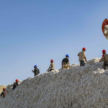 Xinjiang Production and Construction Corps controls Xinjiang’s cotton output, which accounts for 20 per cent of global supply. Photo: Xinhua