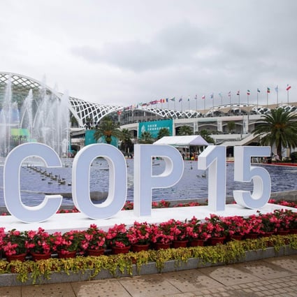 The Chinese city of Kunming is hosting the UN Biodiversity Conference – known as COP15. Photo: STR/AFP