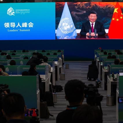 Chinese President Xi Jinping speaks via video link at the UN Biodiversity Conference in Kunming in China’s southwestern Yunnan province, on Tuesday. Photo: AFP