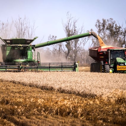Better known for its wheat and barley, Australia is forecast to harvest a record canola crop of more than 5 million tonnes this season, according to government data. Photo: Bloomberg