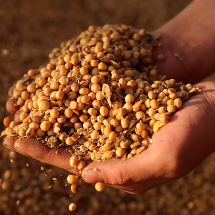 China is buying soybeans from African countries including Tanzania and Ethiopia. Photo: Reuters