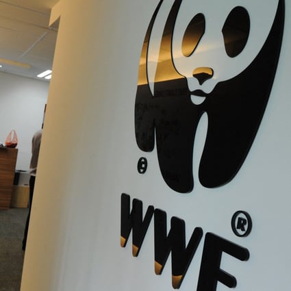 Wwf Singapore Ex Employee Says Workplace Bullying Gave Her Ptsd South China Morning Post Wwf Singapore Ex Employee Says Workplace Bullying Gave Her Ptsd South China Morning Post