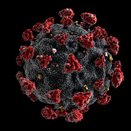 A 3D model of a Sars-Cov-2 coronavirus, which causes Covid-19. Image: Shutterstock