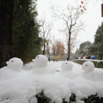 Snow ducks in a Beijing street on Sunday morning. Photo: Simon Song
